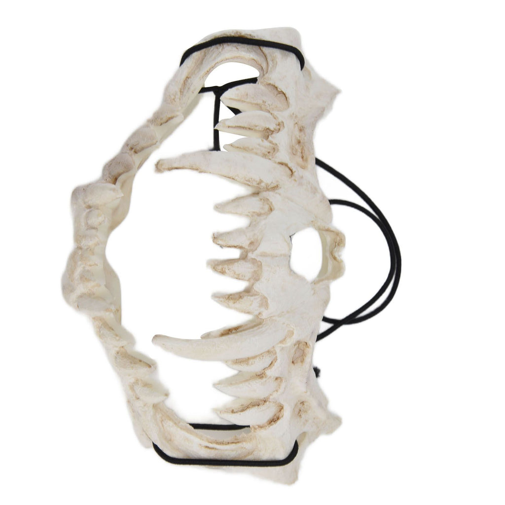 Skull Mask Latex Tiger Tooth Type Durable Waterproof Adjustable Scary Mask for Party Festival Theater