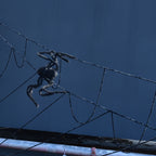 Spiders Halloween Decor Terrible Reusable Black Giant Spider Halloween Decoration for Indoor Outdoor90cm