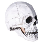 Halloween Skull Helmet Full Head Skull Mask Latex Cosplay Costume Horror Skull Mask for Festival PartyLight Grey