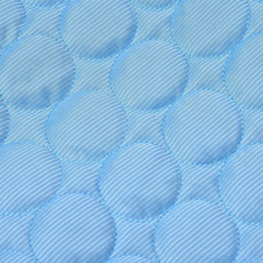 Pet Cooling Mat Breathable Soft Summer Dog Cat Sleeping Pad for Kennel Sofa Bed FloorBlue XXL