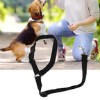 Dog Seatbelt Nylon Black Adjustable Professional Durable Car Safety Harness Pet SuppliesBlack