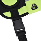 Sports Belt Bag Leash Set Reflective Elastic Explosion Proof Dog Running Traction Rope for Walking RunningGrass Green