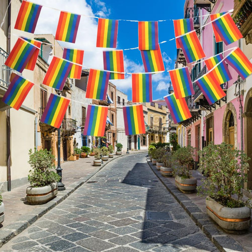 Rainbow Flag LGBT Pride String Flag Hanging Gay Lesbian Banners Bunting Flags Small Rainbow Flag Parade Festival Party Decorations