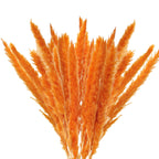 Dried Pampas Grass Natural Reed Dried Flowers Dried Pampas Grass Flowers Bouquet for Boho Home Decor