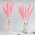 Dried Pampas Grass Natural Reed Dried Flowers Dried Pampas Grass Flowers Bouquet for Boho Home Decor