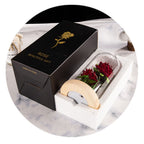 Glass Dome Rose Ornament LED Strip Light Blessing Romantic Glass Cover Artificial Flowers for Girlfriend