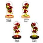 Glass Dome Rose Ornament LED Strip Light Blessing Romantic Glass Cover Artificial Flowers for Girlfriend