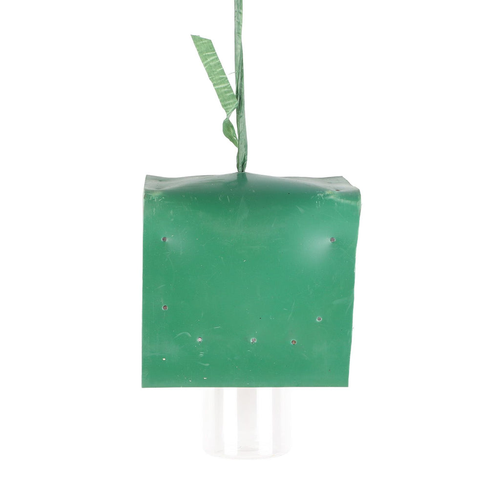 Best Bee Trap Bee and Wasp Trap Household and Outdoor Bee Trap