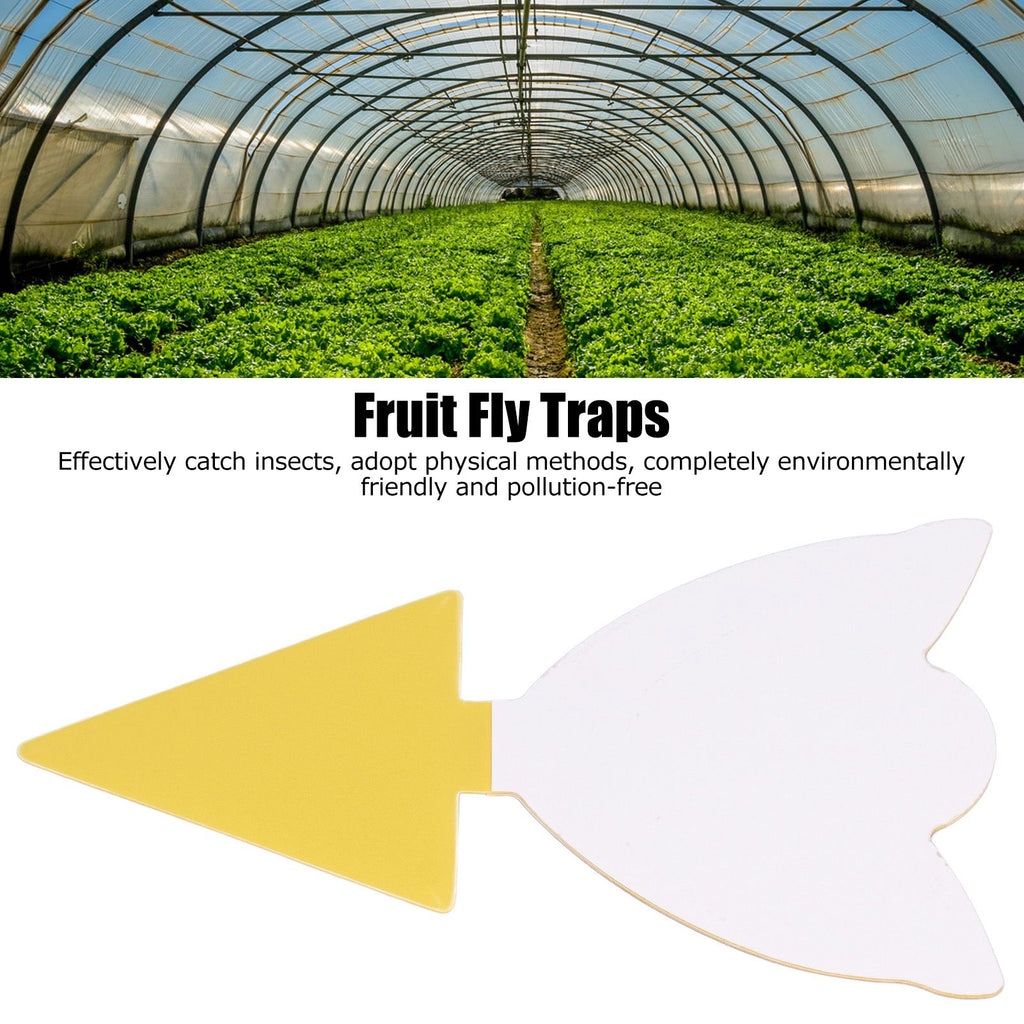 50Pcs Fungus Gnat Killer Effectively Catch Insects Strong Stickiness Easy to Use Insect Catching Board for GreenhouseTulips