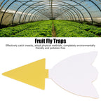 50Pcs Fungus Gnat Killer Effectively Catch Insects Strong Stickiness Easy to Use Insect Catching Board for GreenhouseTulips