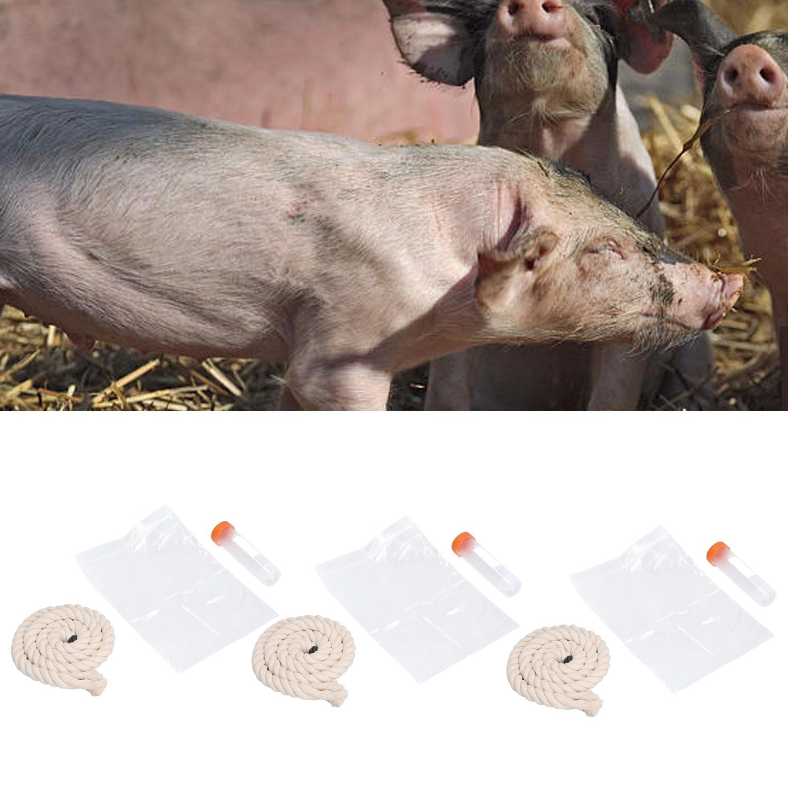 3Sets Saliva Sampling Rope Strong Practicability Complete Tools Soft Cotton Rope Swine Fever Detection Tool for Pigs