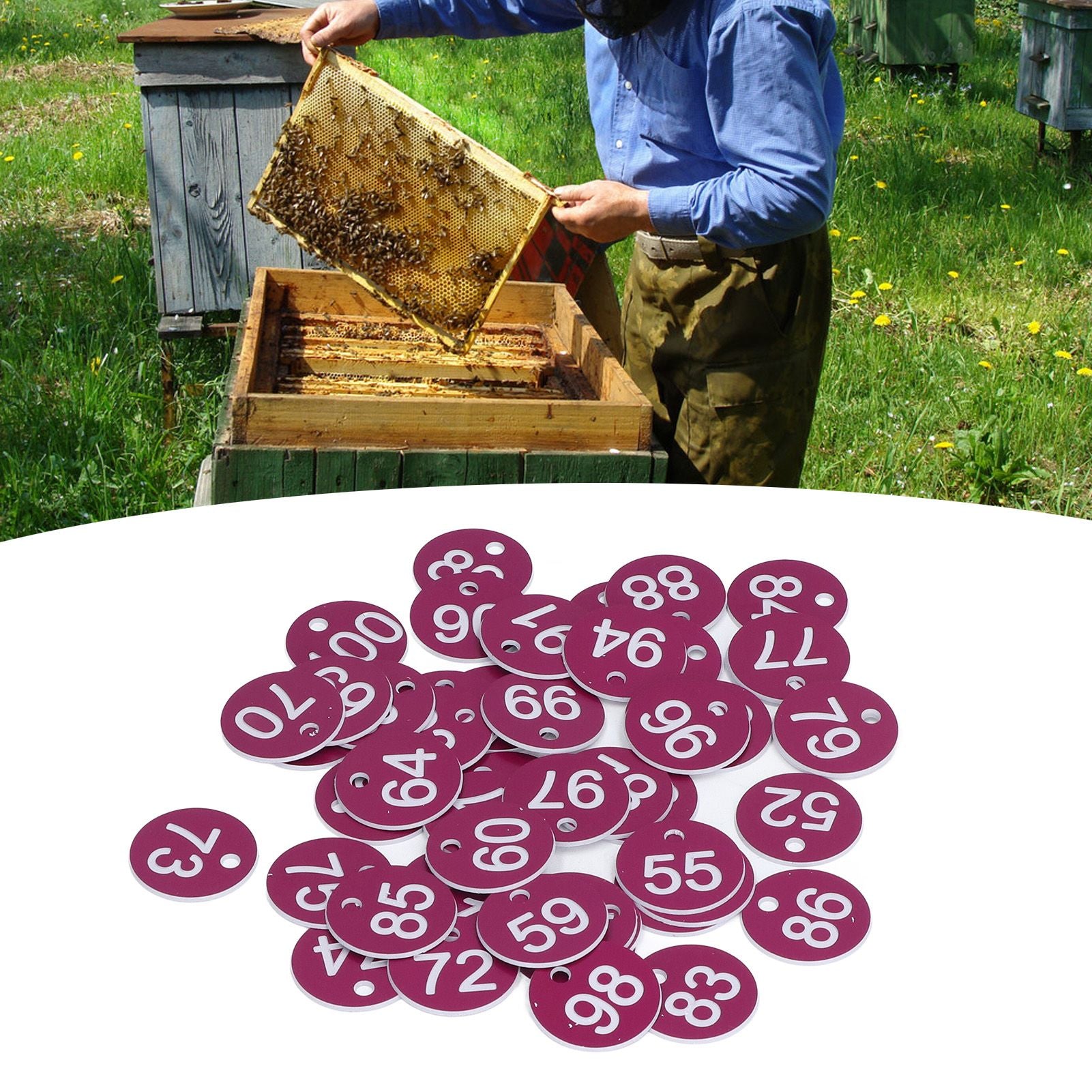 50Pcs Numbered Label Round Simple Beautiful Beehive Tag Breeding Supplies for Beekeeping Animal HusbandryNumbers 51 to 100 Purple