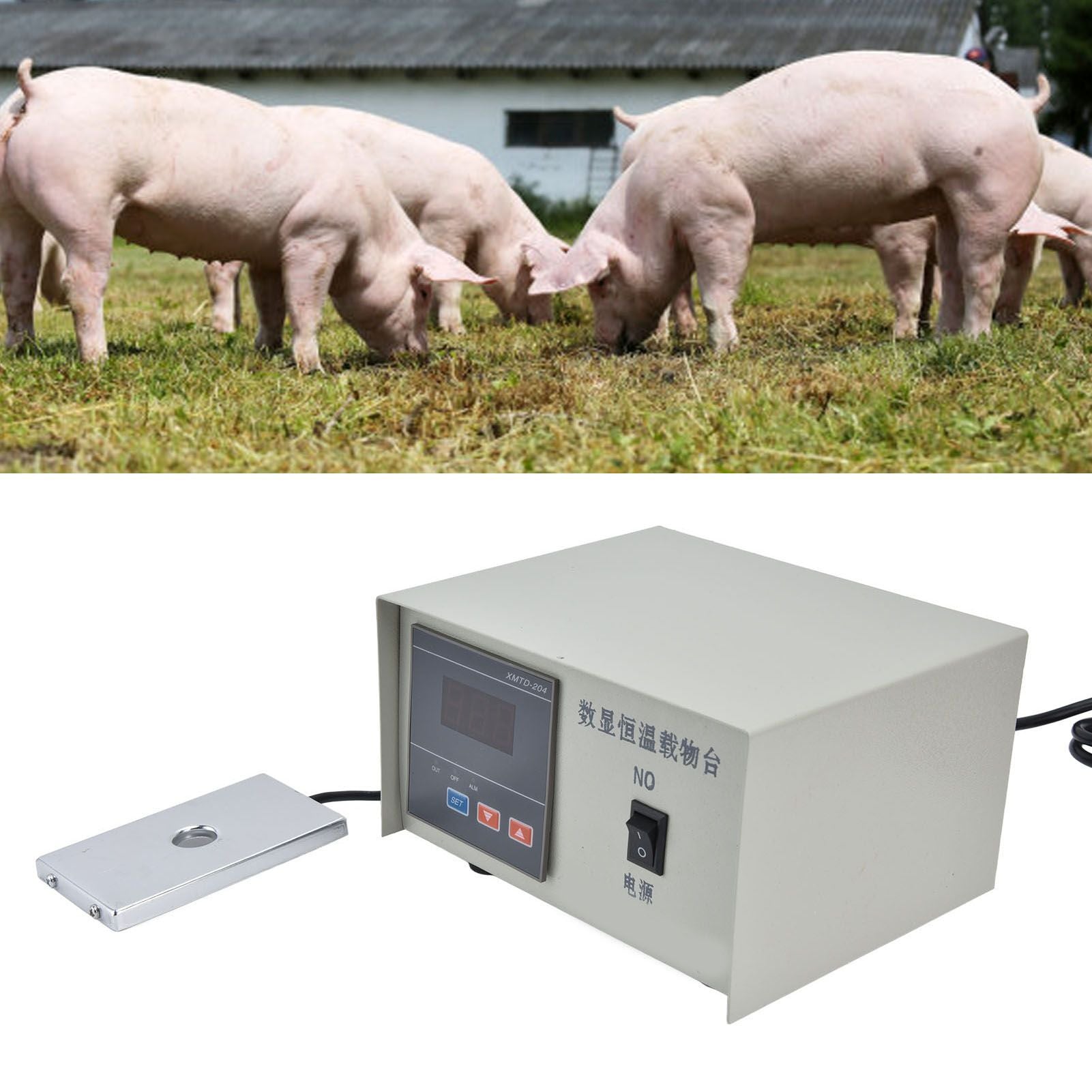 Constant Temperature Plate Digital Display Constant Temperature Carrier for Pig Artificial Insemination AU Plug 220V