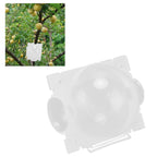 10PCS Plant Root Growing Box Sturdy Structure Security Lock Lightweight Portable Root Ball Propagation