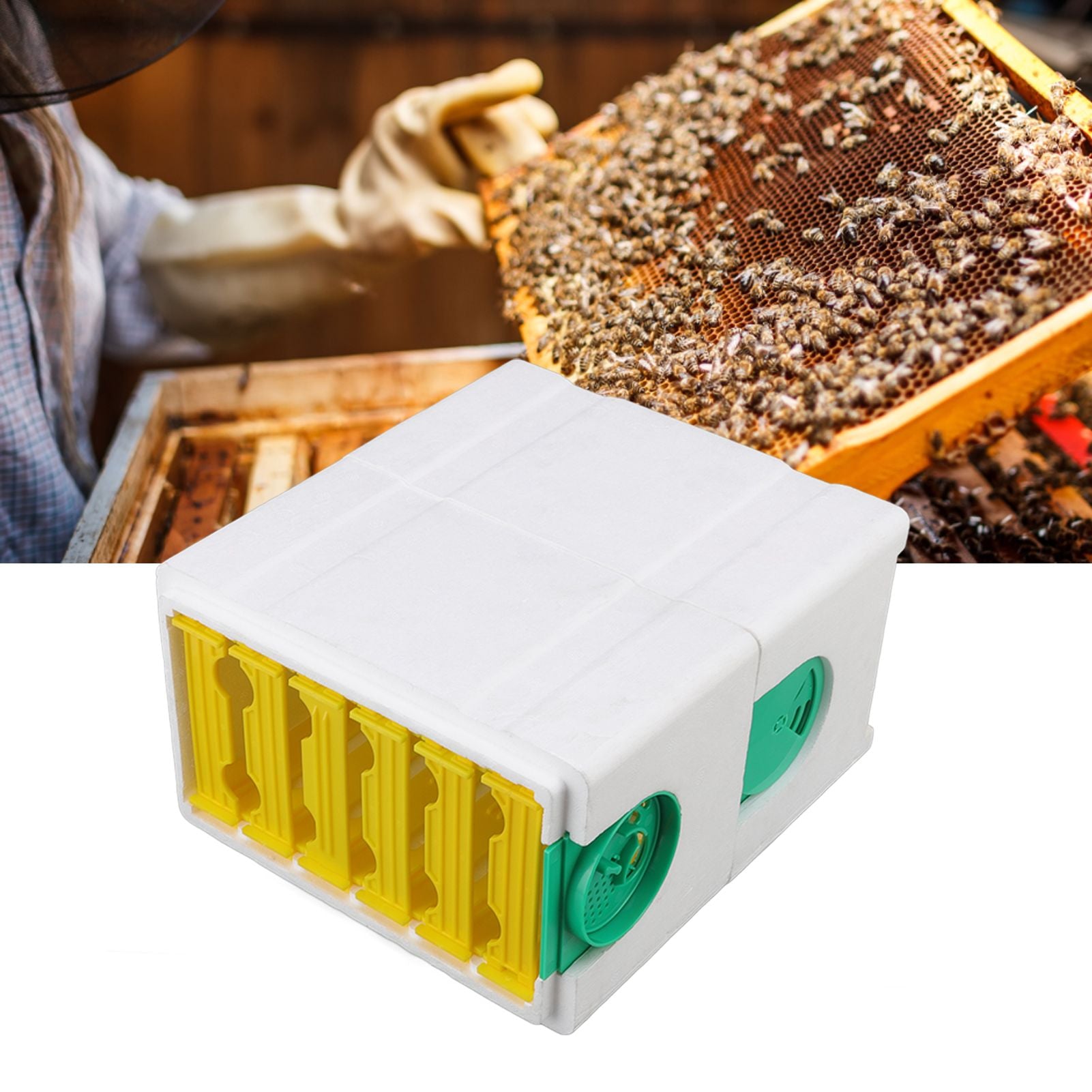 Double Layer Queen Bee Breeding Rearing Box Foam Frame Beehive Beekeeping Tool Beekeeping Equipment