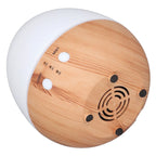 250ml Essential Oil Diffuser Automatic Shut Off 35db Low Noise USB Powered Wooden Humidifier with Night Light for Bedroom