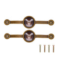 2 Pcs Zinc Alloy Antique Copper Handle European Modern Pastoral Color Acrylic Handle for Cabinet DrawerBrown