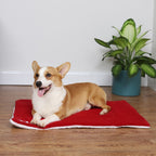 Christmas Theme Pet Cat Dog Bed Mat Pad Soft Warm Thick Kennel Cage Sofa Mat for Small Medium Large Dogs Sleeping