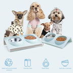Double Bowls for Dog Stainless Steel Pet Bowl Splashproof Feeding Bowl for Pet
