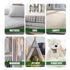 Bed Bug Killer and Repellent for Home Bed Quilt Sofa Indoor and Outdoor Use