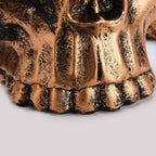Skull Glasses Holder Sturdy Resin Rich Details Vivic Colors Skull Glasses Stand