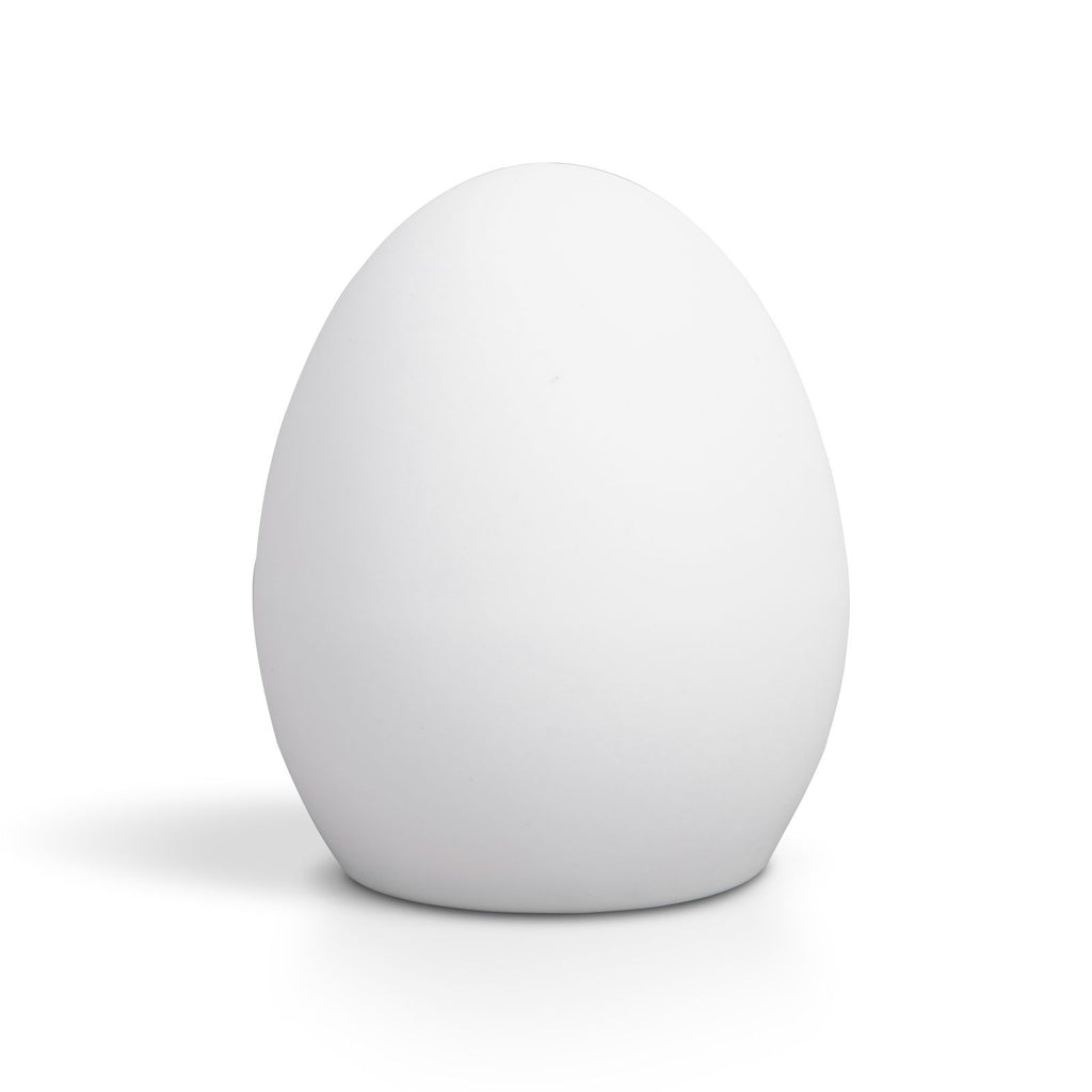 LED Egg Lamp Sturdy Waterproof Easy to Use Remote Control LED Light for Home Party
