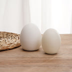 LED Egg Lamp Sturdy Waterproof Easy to Use Remote Control LED Light for Home Party