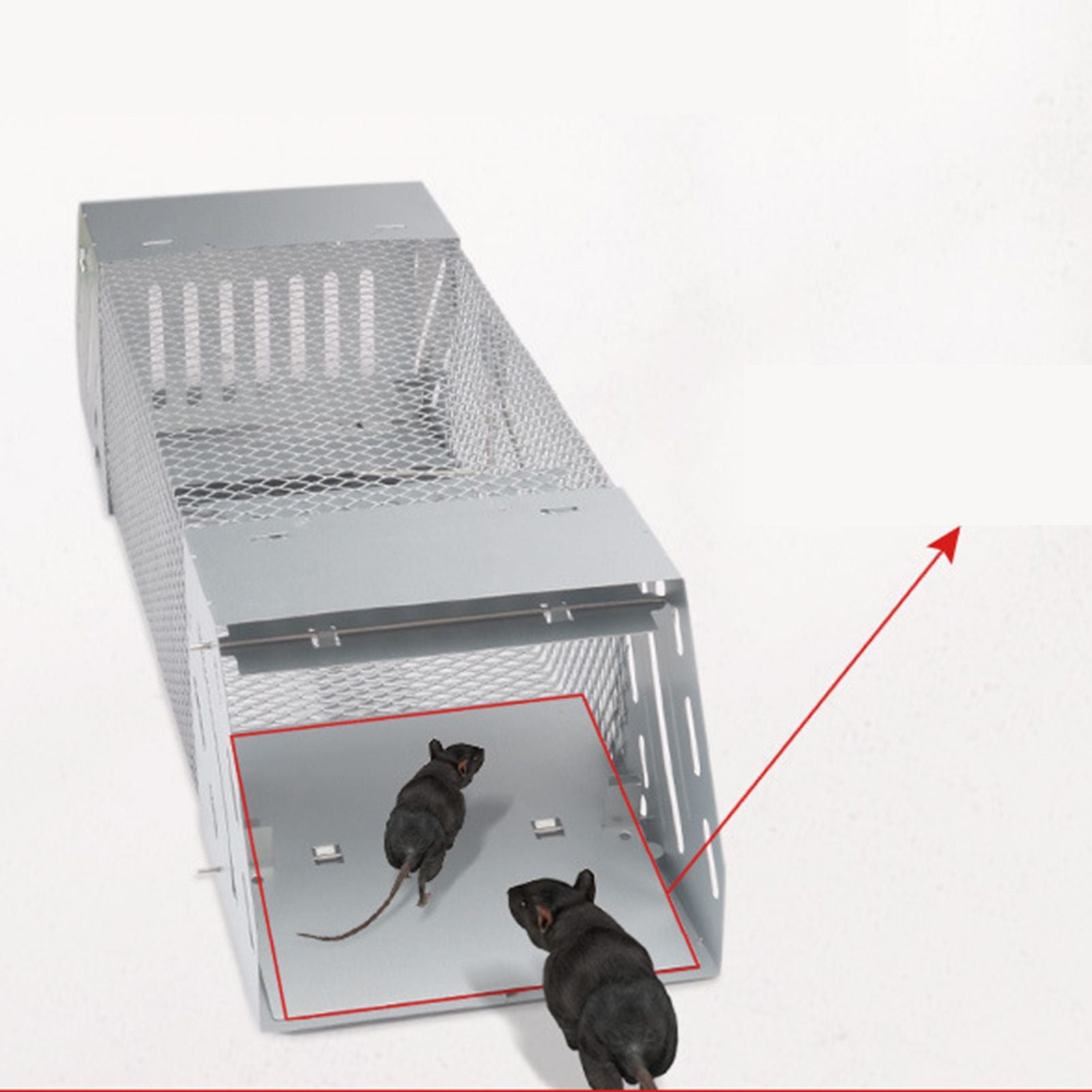 Mice Catch Cage Stainless Steel Full Automatic Dual Door Design Sensitive Mousetrap Cage for Indoor