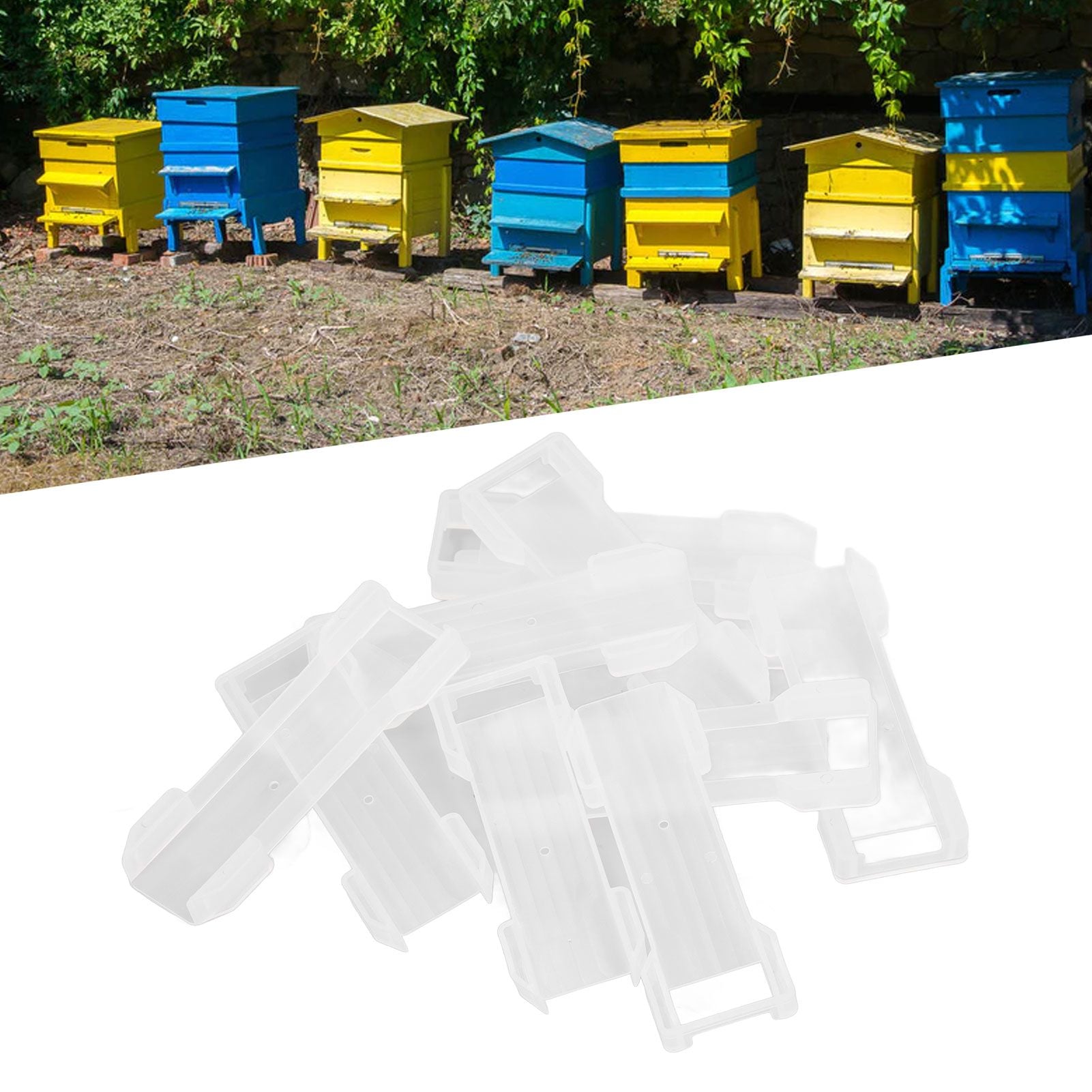 30 PCS Beehive Frame Strip Isolating Queen Bee Beehive Frame Fixing Strip Beekeeping Accessory