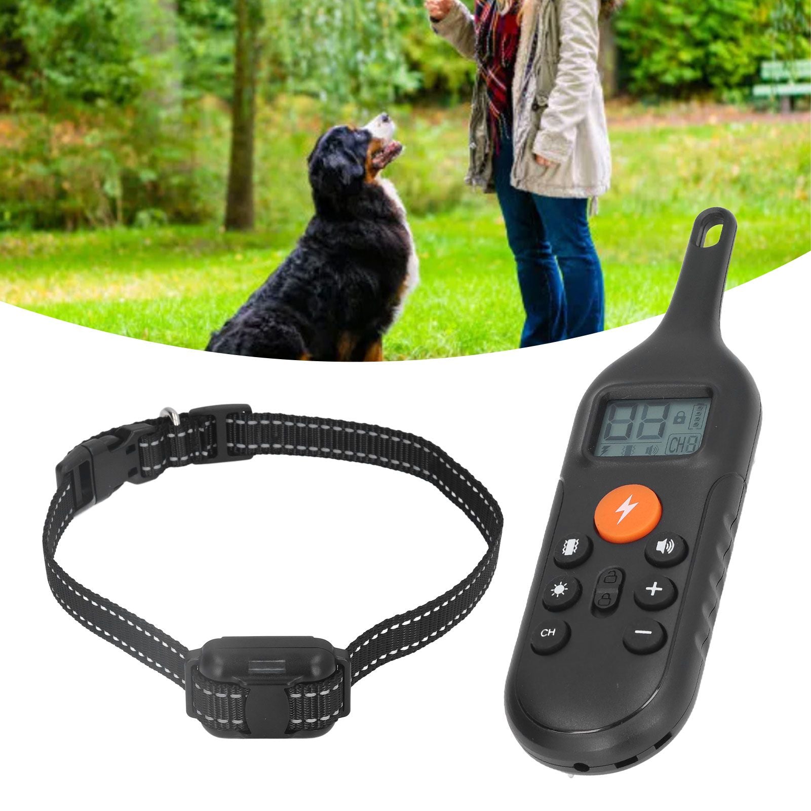 Dog Bark Collar IP67 Waterproof USB Charging Remote Control 800m Range Dog Training Collar for Outdoor