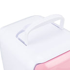 Car Fridge 4 Liters Durable ABS Cosmetic Storage Detachable Partition Portable Mini Fridge for Food Cosmetic Car Pink