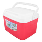 Warmer Cooler Constant Temp Long Lasting Portable Refrigerator Box with Handle for Food Medicine Car Camping 5L Red