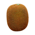 Artificial Fruit Simulation Model Foam Fake Fruit Kindergarten Teaching Aids Decorative Props Kiwi Fruit