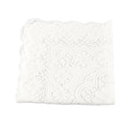 Lace Tablecloth Hollow Pattern Soft Comfortable Simple Lace Decorative Background Cloth for Home Cafe White Lace 60x60cm