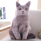 3D Throw Pillow Nap Head Cover Cute Environmental Protection PP Cotton Doll Toy for Kids Gift Gray 50cm/19.69in