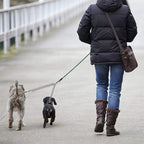 1 pcs Pets Double Head Dog Leash Aluminum Alloy Twin Lead Traction Belt Pets Chains for Walking Two Dogs（40cm）
