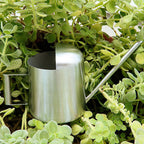 300ml Stainless Steel Watering Kettle with Semi Open Top Indoor Watering Pot