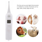 Vet Thermometer Pet Digital Thermometer Electronic Thermometer for Animals