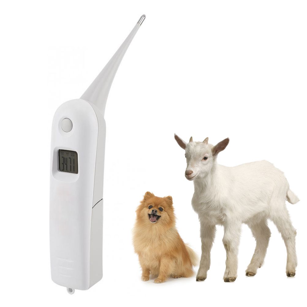 Vet Thermometer Pet Digital Thermometer Electronic Thermometer for Animals