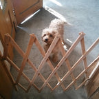 Pet Gate Retractable Adjustable Dog Sliding Door Wood Indoor Dog Gate Doorway Stairs Pet Puppy Safety Fence