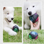 Rubber Dog Ball Puppy Bite Resistant Ball Dental Care Toy for Pet Molar Training Ball