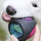 Rubber Dog Ball Puppy Bite Resistant Ball Dental Care Toy for Pet Molar Training Ball