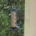 Outdoor Bird Feeder Fat Ball Food Dispenser Wild Bird Hanging Feeder