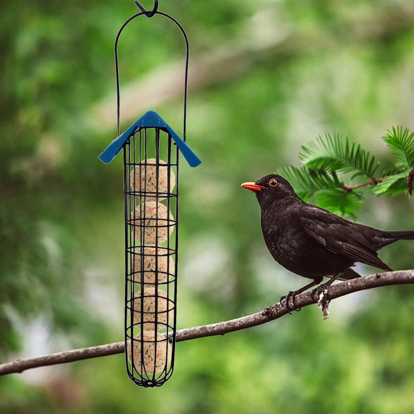 Outdoor Bird Feeder Fat Ball Food Dispenser Wild Bird Hanging Feeder