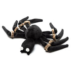 Halloween Spider Cat Toy with Teething Wood Chip Pet Funny Black Spider Legs Cat Toy Halloween Pet Funny Toys
