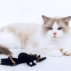 Halloween Spider Cat Toy with Teething Wood Chip Pet Funny Black Spider Legs Cat Toy Halloween Pet Funny Toys