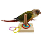 Stacking Ring Bird Toy Bird Trick Tabletop Toy Small Rings Toy Set for Parrots