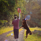 Pet Ring EVA Training Exercise Rings Dog Flying Discs Outdoor Floating Interactive Toy