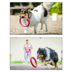 Pet Ring EVA Training Exercise Rings Dog Flying Discs Outdoor Floating Interactive Toy