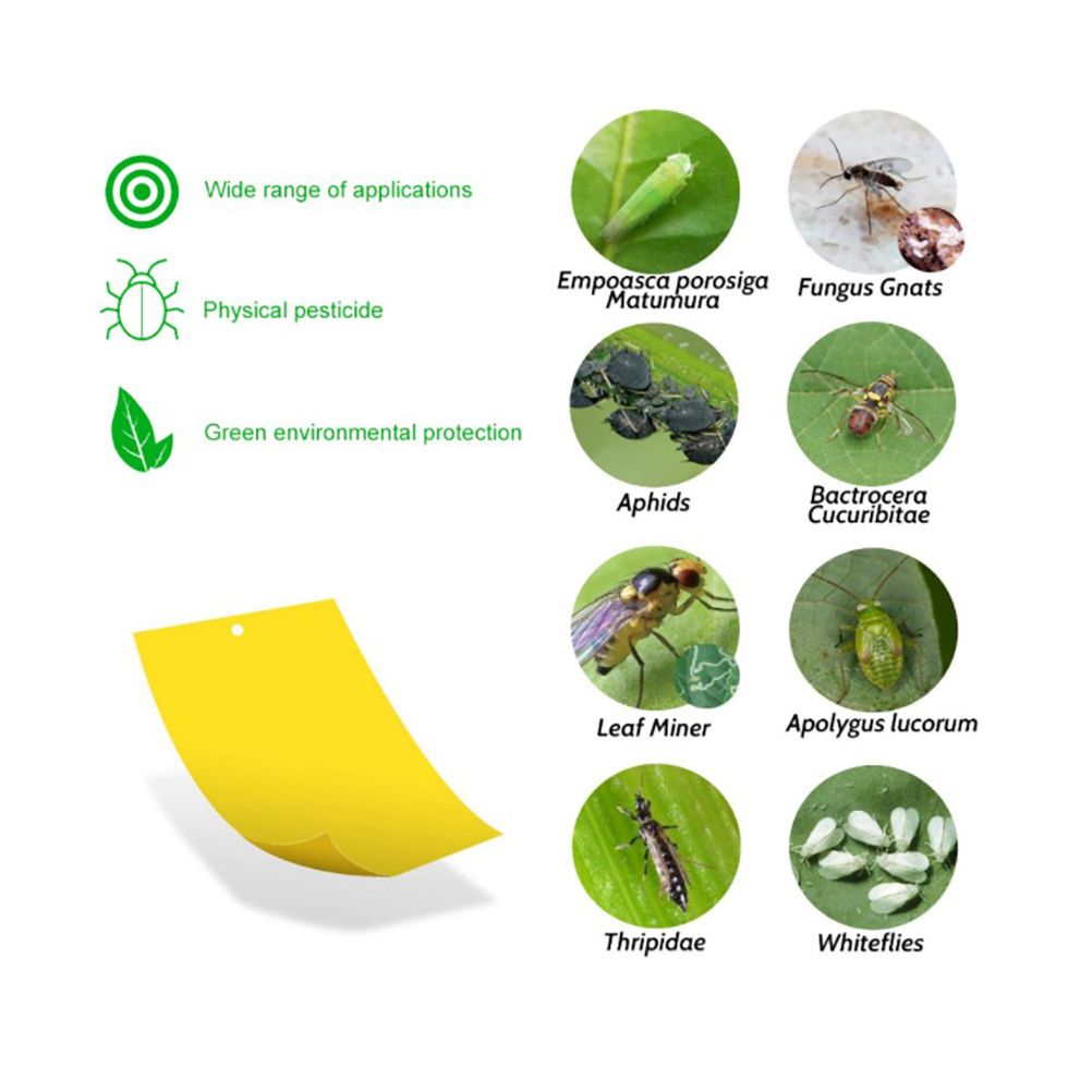 Yellow Sticky Traps Dual Sided Sticky Traps for Capturing Flies Aphids and Other Flying Insects